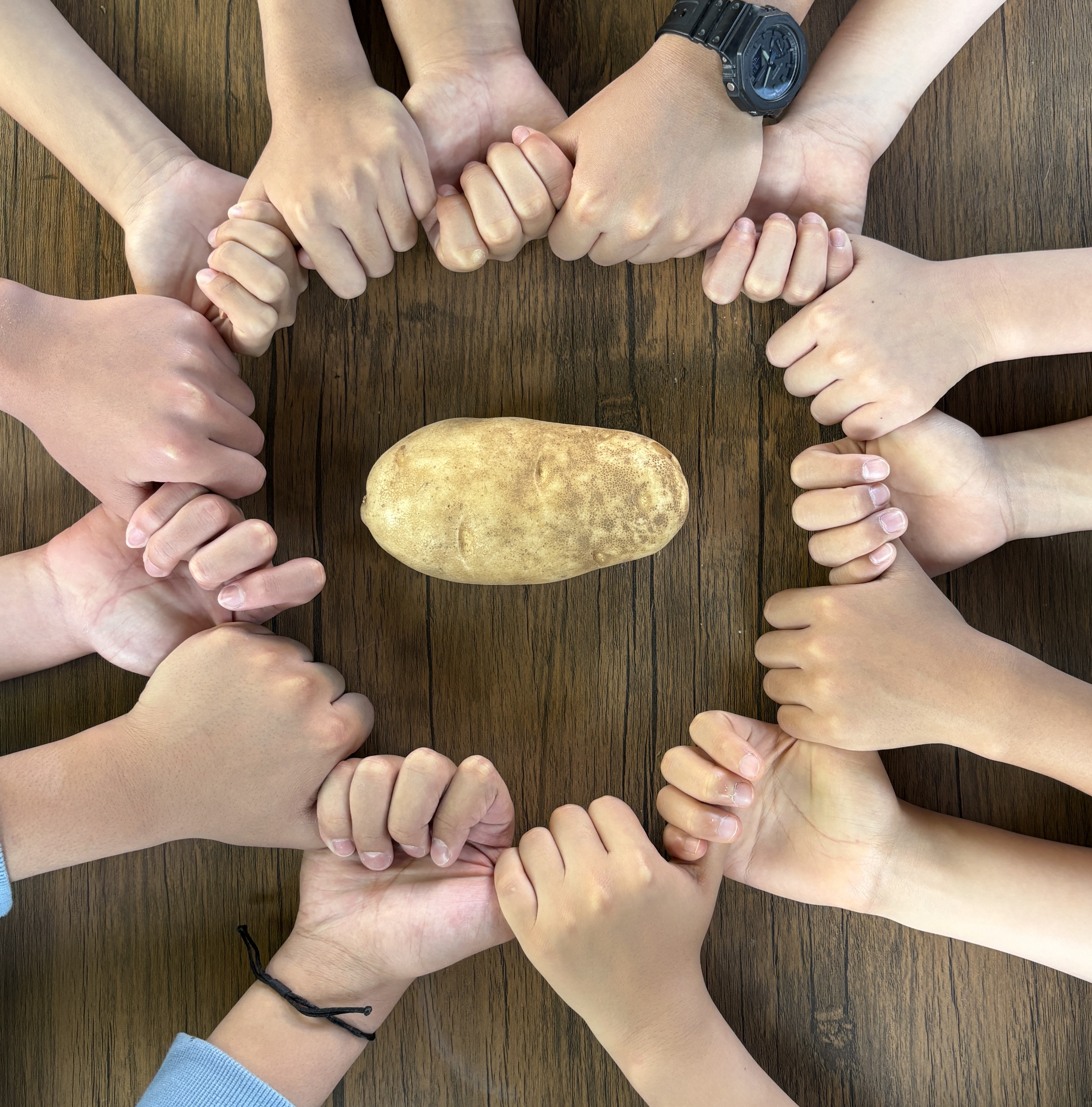 Golden Potatoes Robot